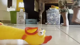 Mercilessly crushing and stepping on shocked rubber chicken