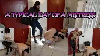 Lady Scarlet - A typical day of a Mistress