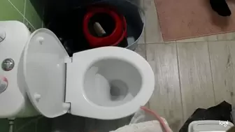 Pee in toilet bowl mp4
