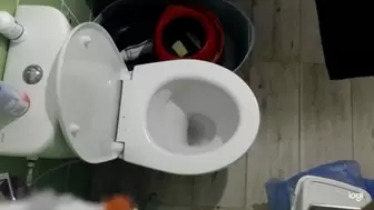 I am making pee in toilet bowl mp4