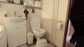 Stinky Panda toilet visit