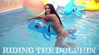 Riding the Blue Dolphin on the pool by Dani