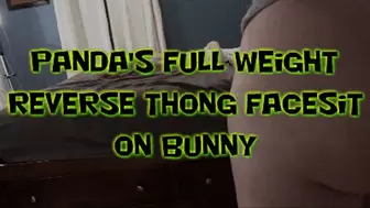 Panda's Full Weight Reverse Thong Facesit on Bunny!