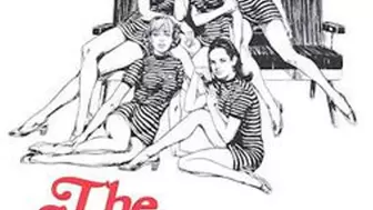 The Stewardesses (1969)