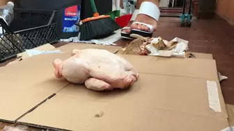 Italian girlfriend - raw chicken crush fetish in white clogs cam 2