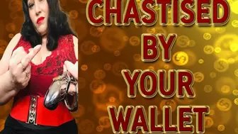 CHASTISED BY YOUR WALLET