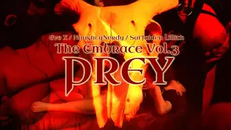 The Embrace Vol 3 - PREY - MP4 HD - SaiJaidenLillith EveX NaughtyNerdy