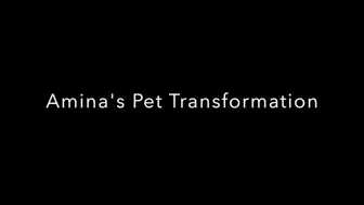 Amina's Pet Transformation