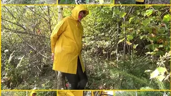 Handcuffed to a tree in a yellow raincoat