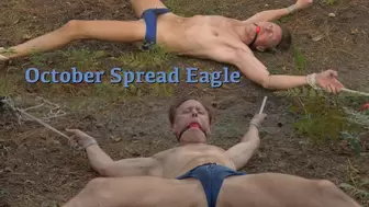 October Spread Eagle