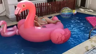 The cutest boobs bouncing in the pool