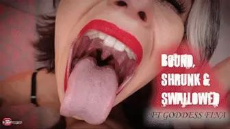Bound, Shrunk, & Swallowed Ft Goddess Fina - HD MP4 1080p Format