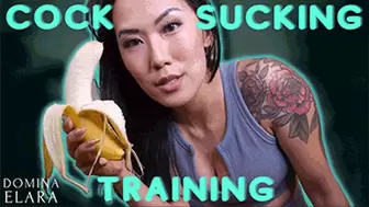 Cock Sucking Training 101