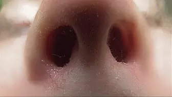 REQUEST THE FORMIDABLE NOSE IS BURIED IN THE CAMERA AND WHISPERS TO YOU!MP4
