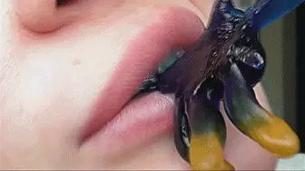 A NEW CLIP OF BITING OFF THE JELLIES OF OSMNOG!MP4
