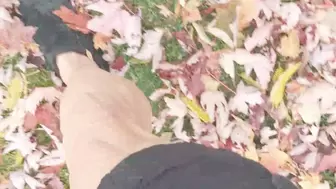 Enjoying leaves