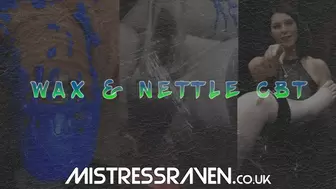 [691] Wax and Nettle CBT
