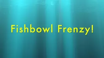 Fishbowl Frenzy! HD