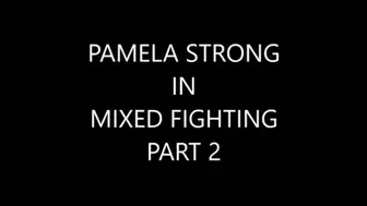 PAMELA FIGHT IN TOPLESS
