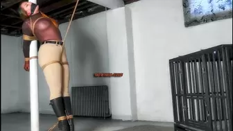 Quinn Carter Bound to the Dungeon Post! HD-mp4
