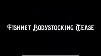 Fishnet Bodystocking Tease