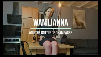 a Bottle of champagne - medium resolution