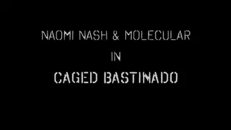 Naomi Nash's Caged Bastinado