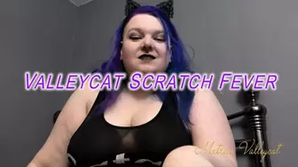 Valleycat Scratch Fever (wmv)