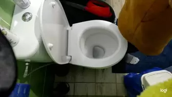 You can see my pee in toilet bowl mp4