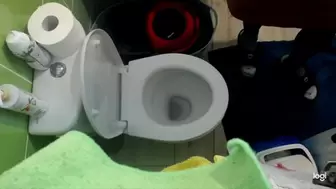 I pee into the toilet bowl direct mp4