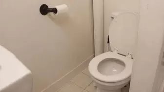 M - Dec Toilet Clips #002