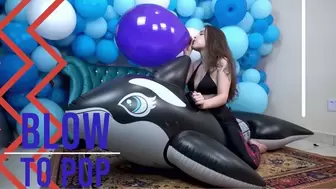 Blow to Pop Purple U16" On Whale - 4K