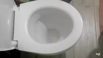 I pee and you can look into the toilet bowl mp4