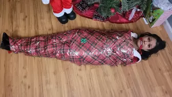 Mummified By The Possessed Santa Statue