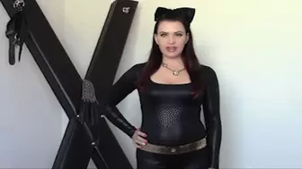 Catwoman Makes You Gay