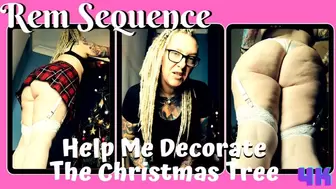 Help Me Decorate The Christmas Tree?
