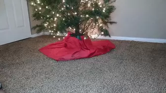 Bare Feet Under the Christmas Tree