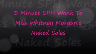 3 Minute SPH Wank To Whitney's Soles