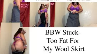 BBW Stuck 2-Too Fat for My Wool Skirt