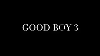 POV GOOD BOY 3