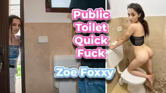 Horny brunette fucks in a public toilet