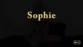 Sophie Colorful Corsets