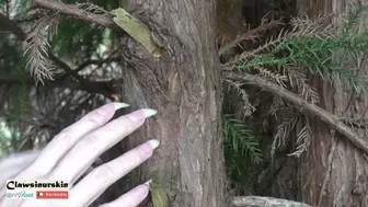 Nails scratching tree