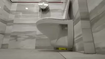 Ass explosion brownie in workers toilet