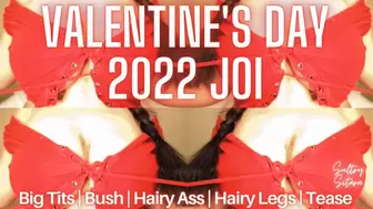 Valentine's Day 2022 JOI