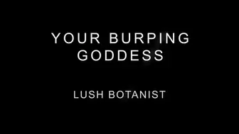 Your Burping Goddess