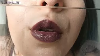 Lipstick Kisses On Glass