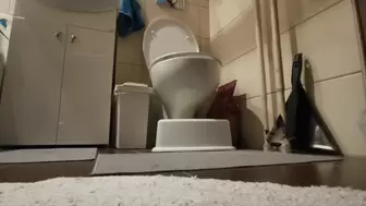 QUICK Home Toilet Compilation - for long shaved legs & calf lovers