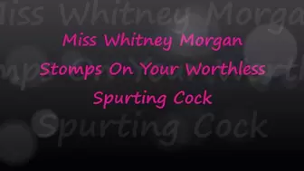 Miss Whitney Morgan: Cock Stomp Spurt