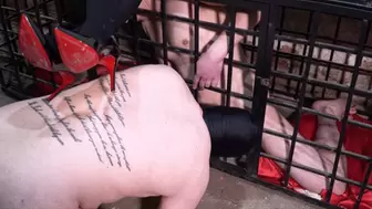 Caged cock suckers!